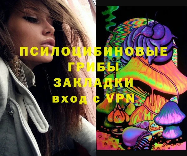 мдпв Краснотурьинск