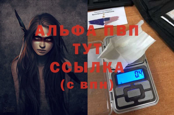 ГАЛЛЮЦИНОГЕННЫЕ ГРИБЫ Корсаков