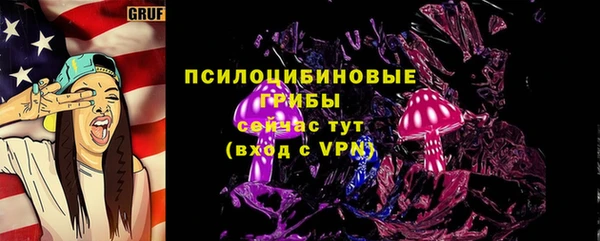спиды Костерёво